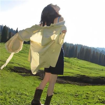 飞燕金枪