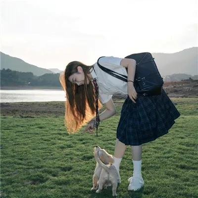 狼群出动
